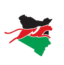 eServices Kenya Logo